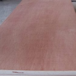 Eucalyptus Plywood For Sale